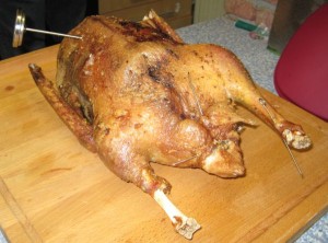 Gans