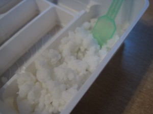 Gummisushi05