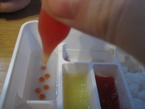 Gummisushi07