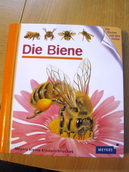 Bienenbücher für Kinder | Maufeline
