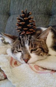 adventskalender-08-04